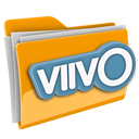 Viivo加密文件