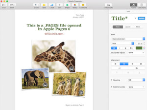Apple pages 6中的.pages文件截图