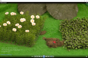 Microsoft Windows Media Player 12中.mts文件的屏幕截图