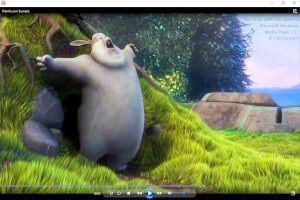 Microsoft Windows Media Player 12中.mpg文件的屏幕截图