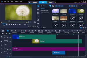 Corel VideoStudio 2019中的.vsp文件截图