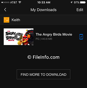 在iOS 10.1.1中Netflix 9.0.1中的.nfv文件的屏幕截图