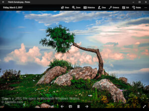 Microsoft Windows照片中.jpeg文件的屏幕截图