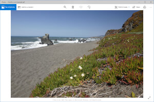 Microsoft照片中.nef文件的截图