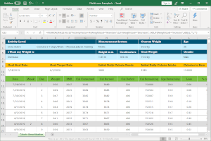 Microsoft Excel 2019中.xls文件的屏幕截圖