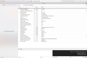 苹果Xcode 9中.plist文件的截图